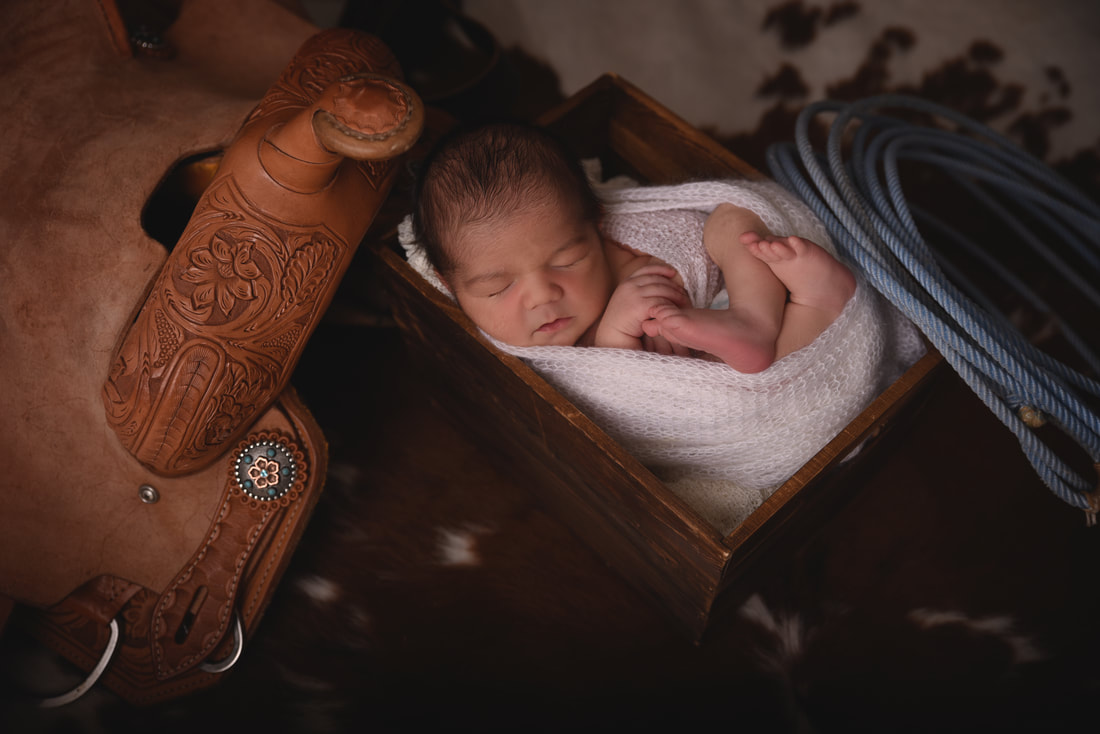 eight day old baby boy with western saddle and rope 