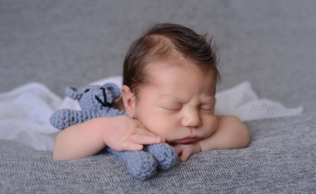 sweet little man with grey teddy  ~ 24 day old baby boy {corona newborn photography}